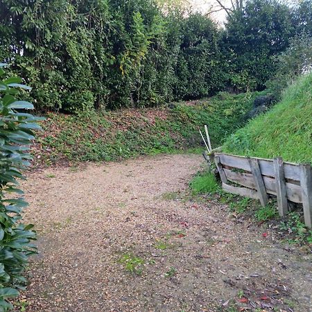 Gite Des Petites Ruelles : Familial Et Chaleureux Trôo Zewnętrze zdjęcie
